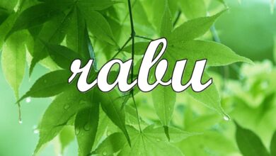 Gambar : Hari Rabu