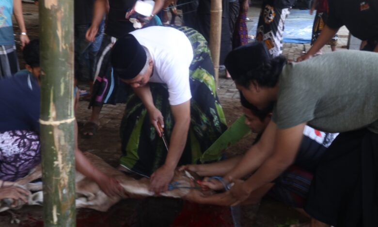Foto: Penyembelihan Hewan Qurban