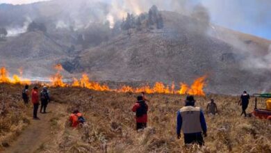 Gunung Bromo Kebakaran