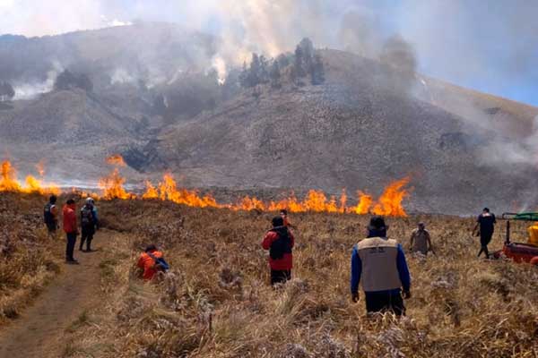 Gunung Bromo Kebakaran